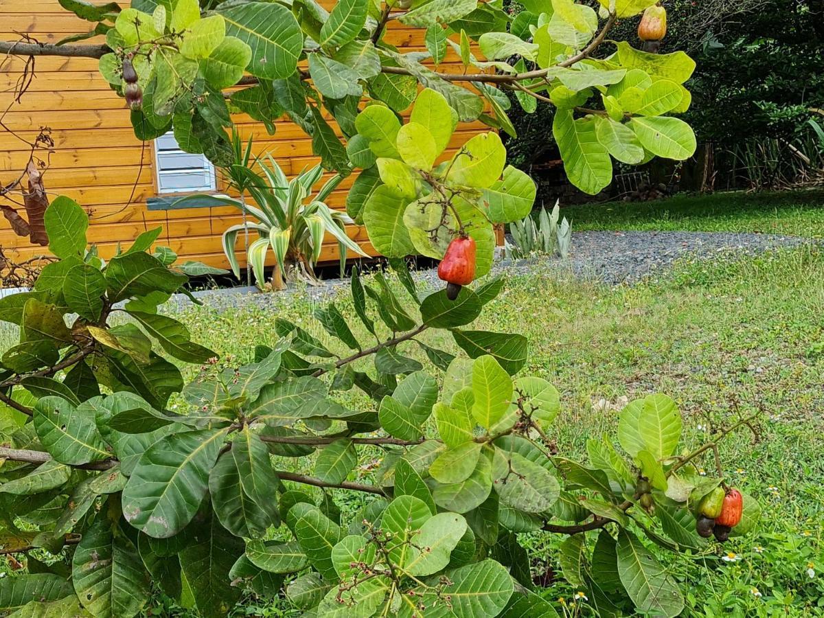 La Kaz Nature Bien-Etre Petit-Bourg Εξωτερικό φωτογραφία