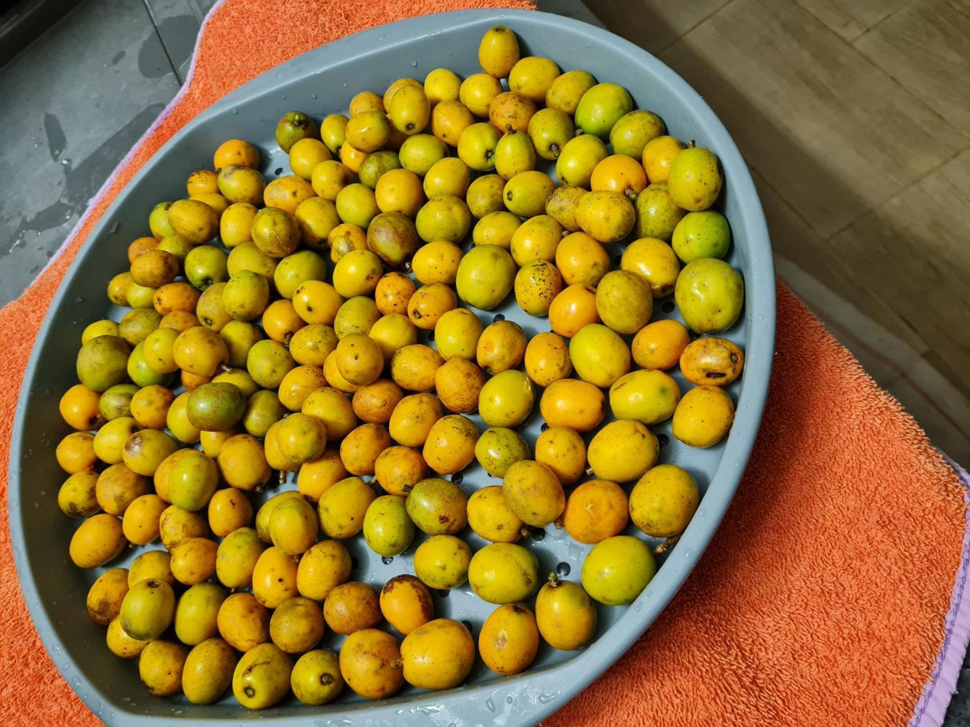 La Kaz Nature Bien-Etre Petit-Bourg Εξωτερικό φωτογραφία